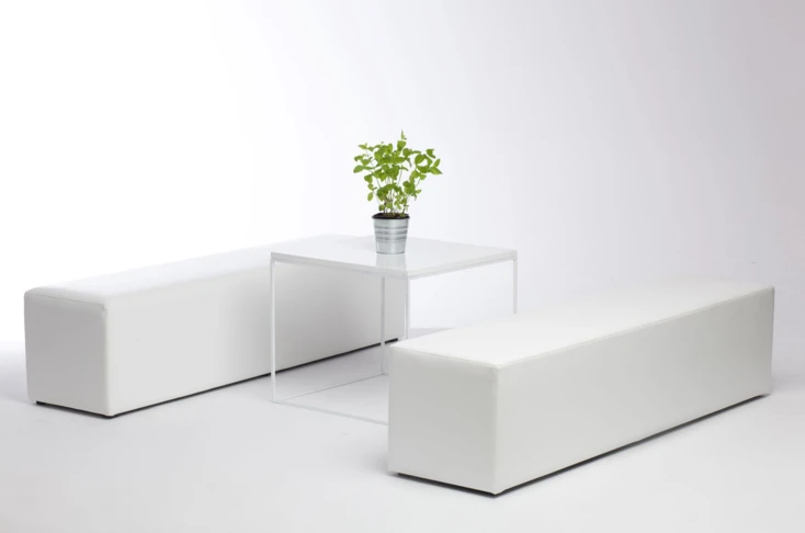 Stelar White