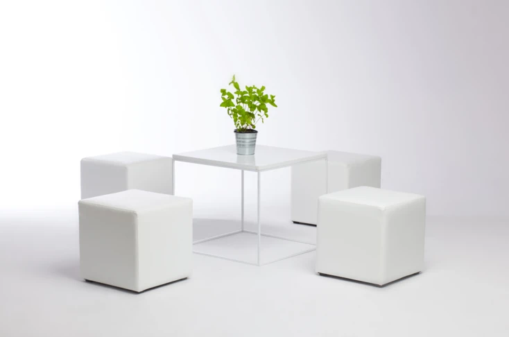 Stelar White